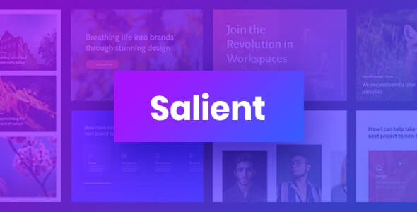 SALIENT V13.0 - RESPONSIVE MULTI-PURPOSE THEME