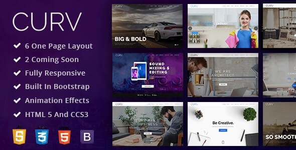 CURV v1.0 - One Page Multipurpose Parallax