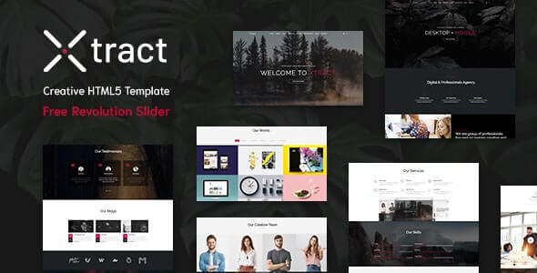 Xtract v1.0 - Creative One Page Template