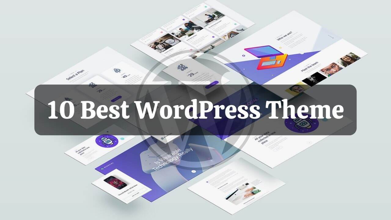 10 Best WordPress Themes Using in 2022